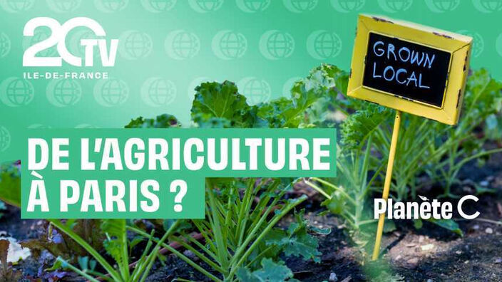 De l'agriculture en ville, c'est possible ?