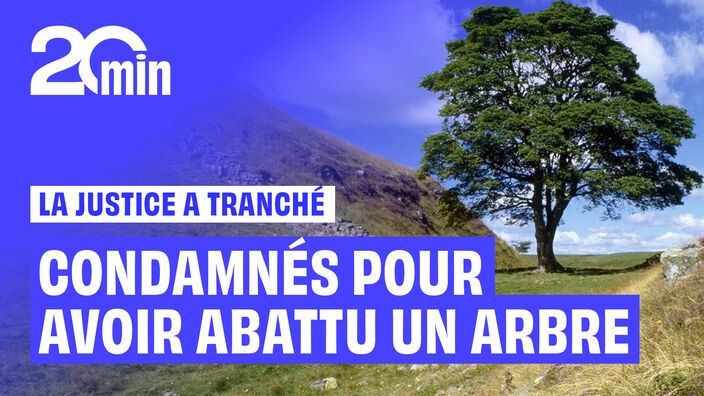 Angleterre : Les deux tronçonneurs du Sycamore Gap Tree condamnés à 4 ans de prison