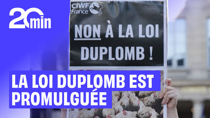 Ce que contient la loi Duplomb promulguée par Emmanuel Macron